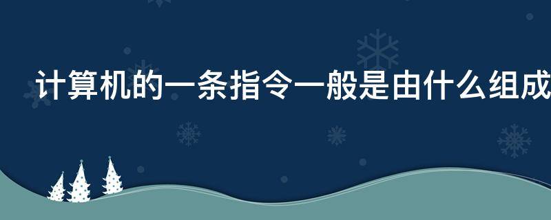 计算机的一条指令一般是由什么组成（计算机的一条指令一般由( 组成）