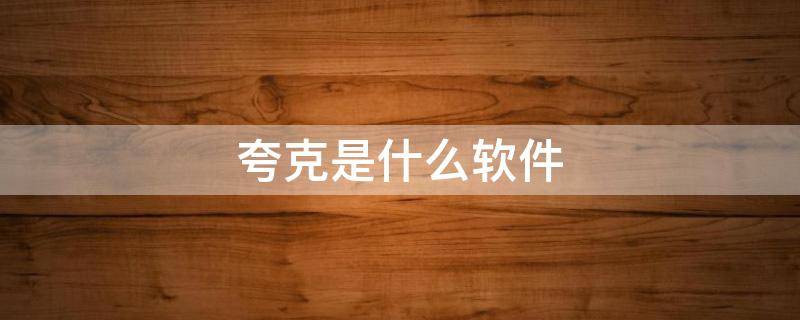 夸克是什么软件（手机夸克是什么软件）