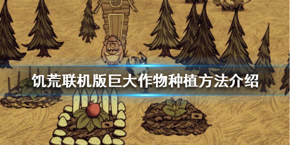 饥荒联机版巨大作物如何种植 饥荒联机版种植农作物