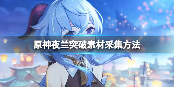 原神夜兰突破素材收集（原神各角色突破素材）