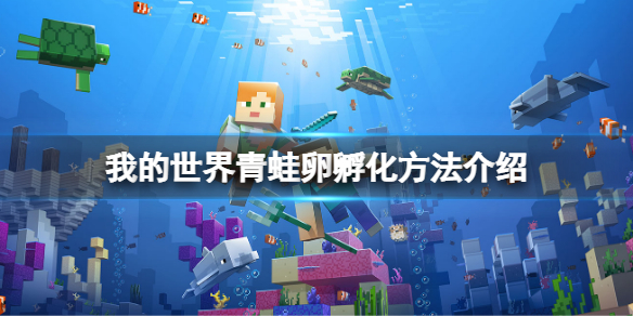 我的世界青蛙卵怎么孵化（青蛙是怎么孵卵的）