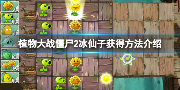 植物大战僵尸2冰仙子怎么获得（植物大战僵尸2冰系植物怎么获得）