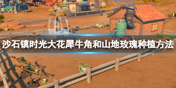 沙石镇时光山地玫瑰怎么种 沙漠玫瑰用沙土可以种植吗?