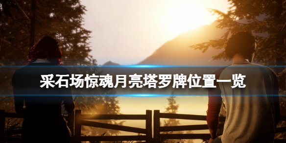 采石场惊魂塔罗牌月亮牌在哪（塔罗牌抽中月亮）