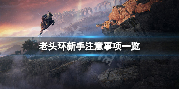 艾尔登法环新人有什么要注意的 艾尔登法环讲的是什么