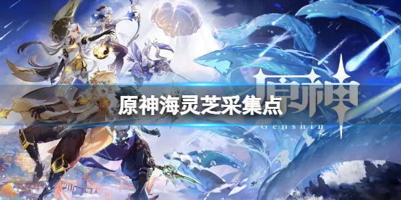 原神2.7海灵芝采集点（原神海灵芝采集图）