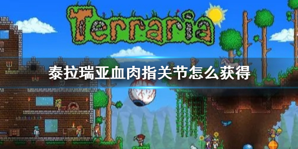 泰拉瑞亚血肉指关节怎么获得 泰拉瑞亚血肉指关节可以干嘛