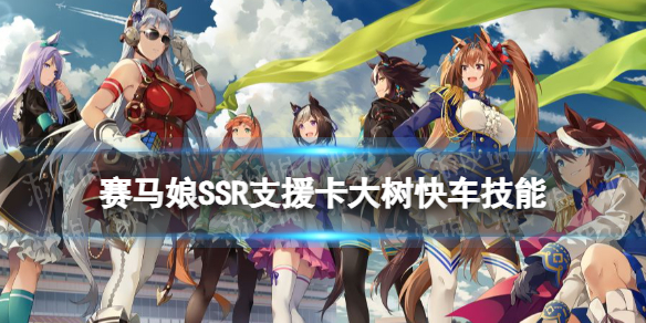 赛马娘大树快车支援卡技能是什么 赛马娘大树快车配卡