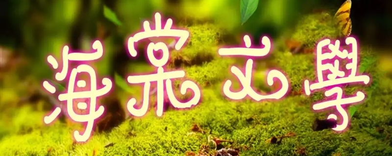 shoto是什么（shoto是什么时候出道的）