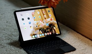 新买的ipad怎么鉴定（新买的ipad怎么鉴定真假）
