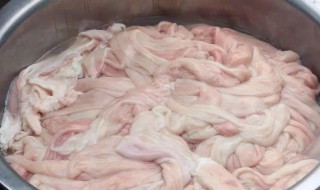怎样清洗猪大肠最干净 怎样清洗猪大肠最干净视频