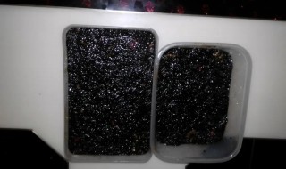 阿胶要放冰箱吗 阿胶要放冰箱吗冬天