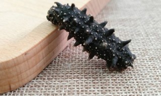 海参能放冰箱冷冻吗（新鲜海参可以直接放冰箱冷冻吗）