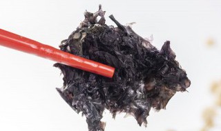 紫菜能放冰箱吗（紫菜能放冰箱吗?）