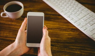 饥荒大象怎么繁殖 饥荒大象怎么繁殖出来