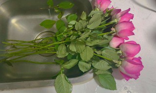 怎么醒花（怎么醒花最简单的方法）