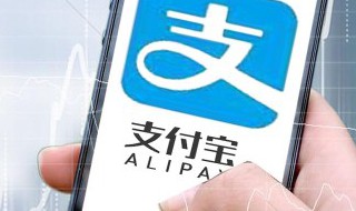 支付宝上怎么交违章罚款（支付宝上怎么交违章罚款电瓶车）