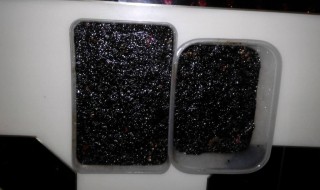 阿胶可以放冰箱冷冻吗 阿胶可以放冰箱里保鲜吗