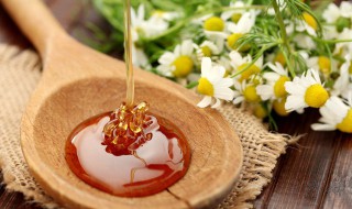 蜂蜜没有放冰箱会坏吗 蜂蜜没有放冰箱会坏吗为什么