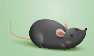 家里放一物的绝对没老鼠 家里放一物的绝对没老鼠清凉油
