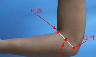 手肘是哪个部位（手肘是哪个部位图解）