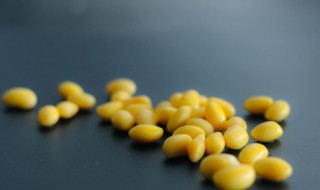 黄豆泡多久才能用高压锅煮 高压锅煮黄豆需要泡吗