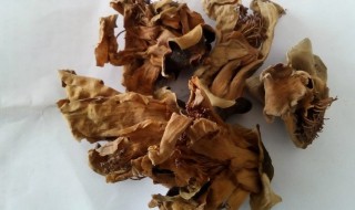 干木棉花清洗方法 干木棉花清洗方法图解