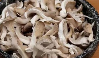 干菌子的清洗方法 干菌怎么清洗