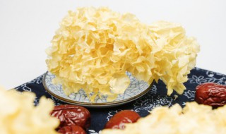 银耳需要泡多长时间 银耳需要泡多长时间再煮