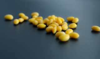 黄豆泡多长时间 黄豆泡多长时间可以打豆浆
