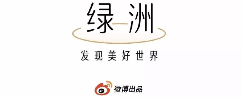 微博绿洲是什么（微博绿洲是什么软件）